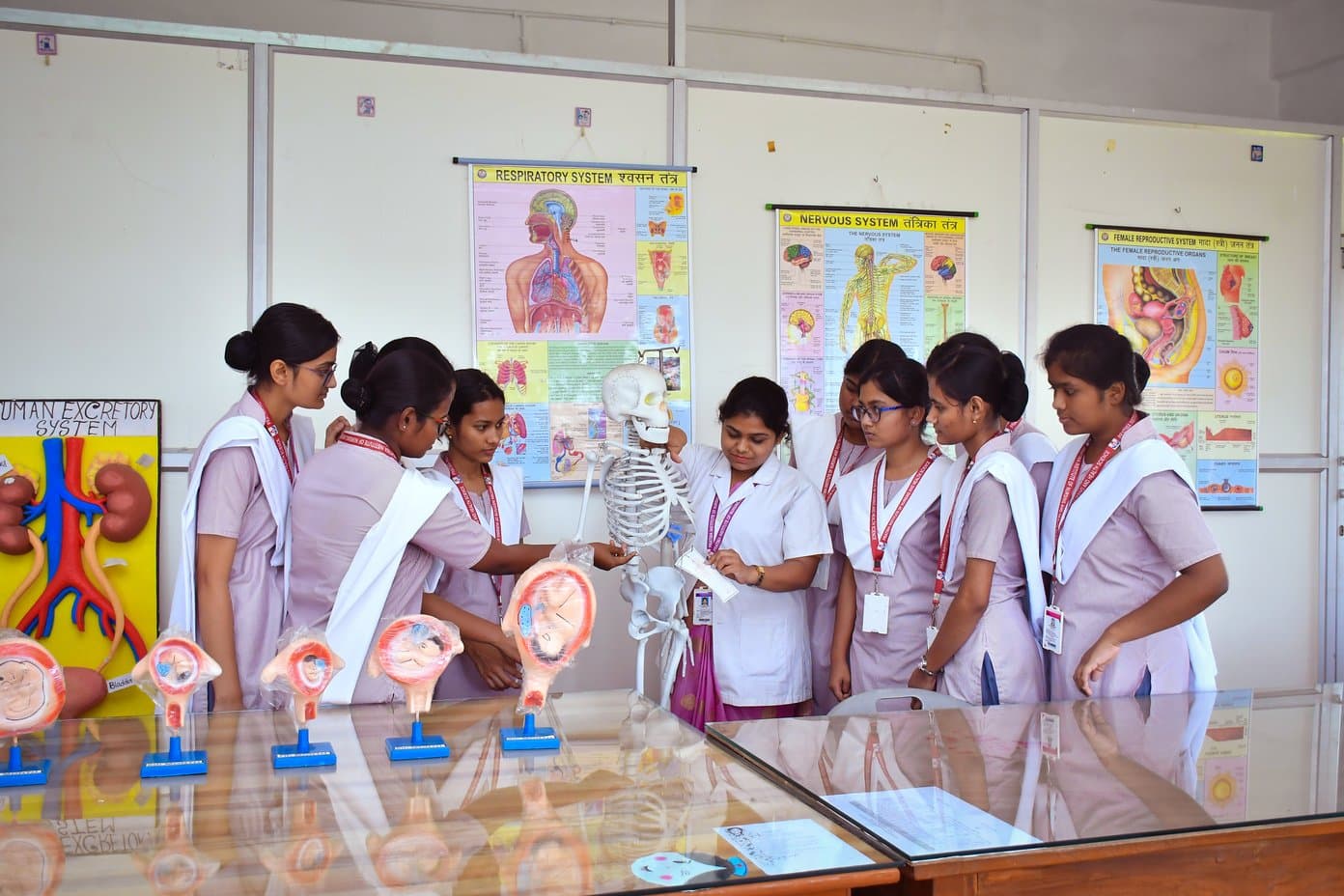 Pre-Clinical Science Lab